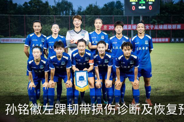 孙铭徽左踝韧带损伤诊断及恢复预期分析