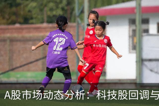 A股市场动态分析：科技股回调与银行股逆势上涨